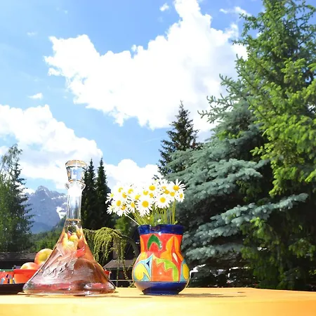 Apartment Vijolica On The Slope With Free Parking *