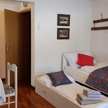 Vijolica Краньска Гора