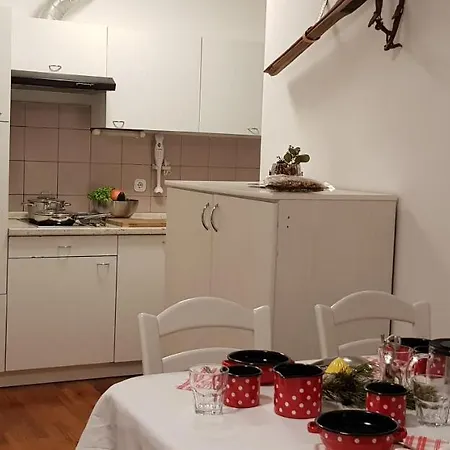 Vijolica Краньска Гора